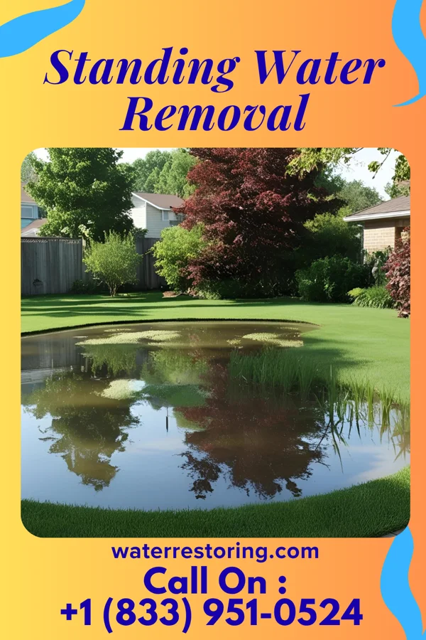Standing Water Removal in Barrington Hills, IL